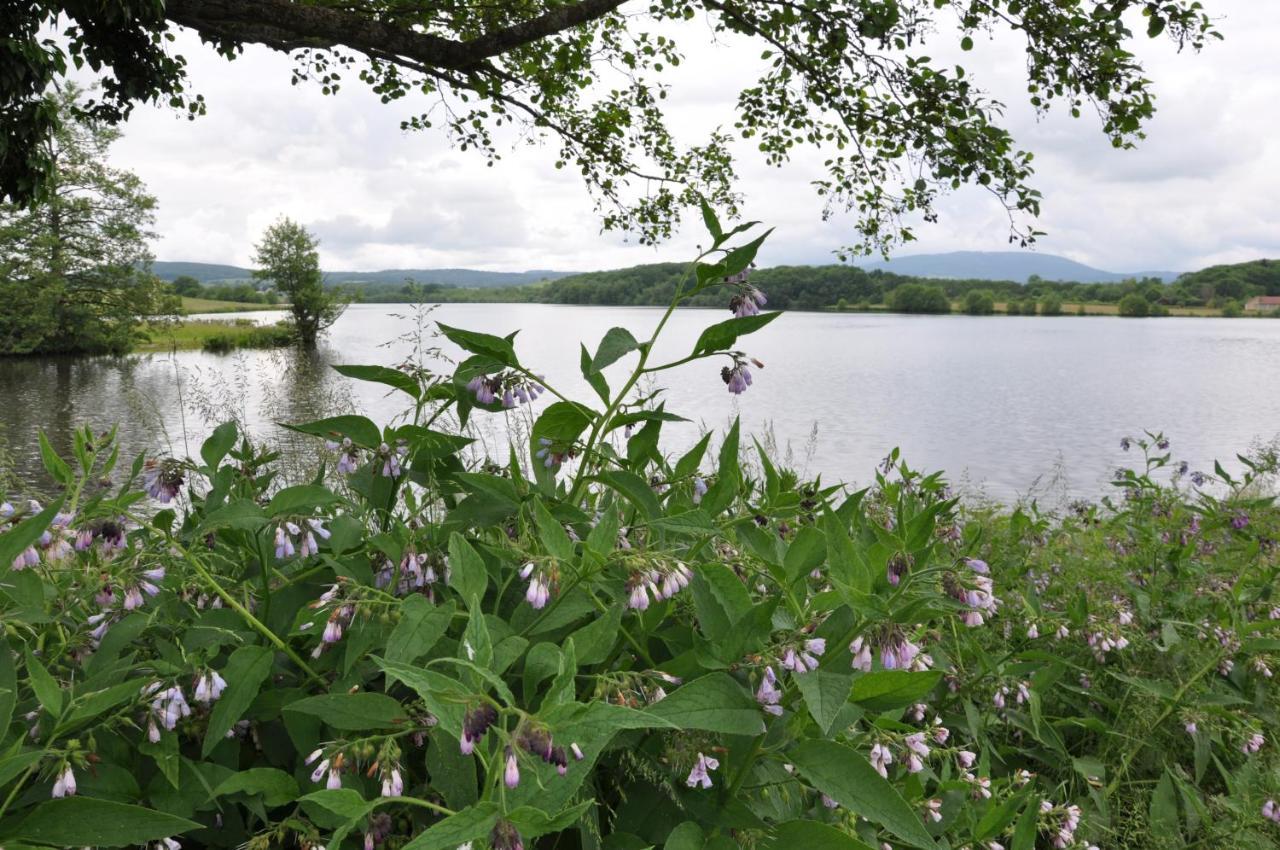 Canal Du Nivernais Gites Le Champ Radis Marigny-sur-Yonne Екстер'єр фото